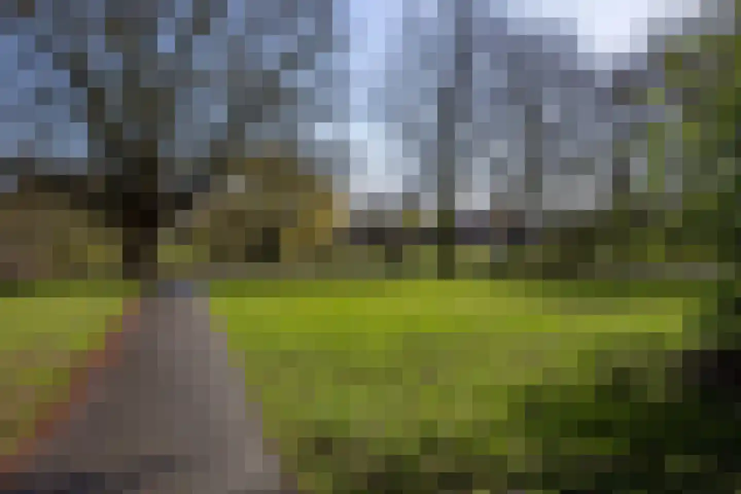 Dilleveld 10 Veghel thumbnail 49
