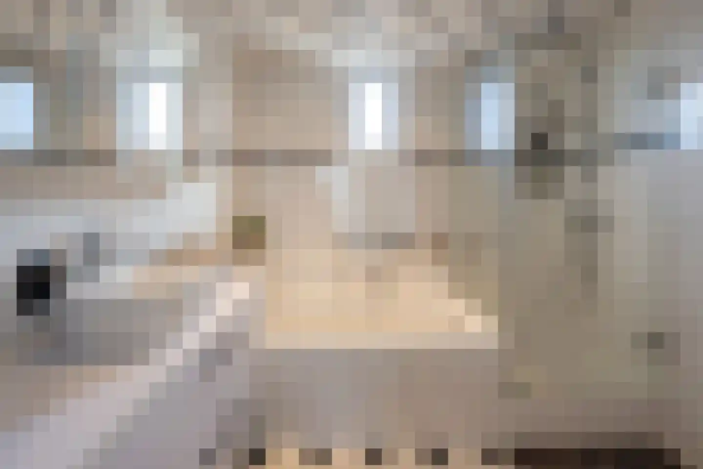 Dilleveld 10 Veghel thumbnail 5