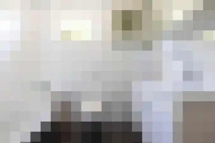 Dilleveld 17 Doetinchem thumbnail 29