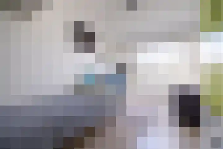 Dilleveld 17 Doetinchem thumbnail 35