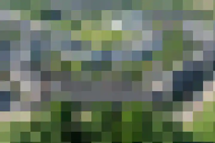 Dilleveld 17 Doetinchem thumbnail 41
