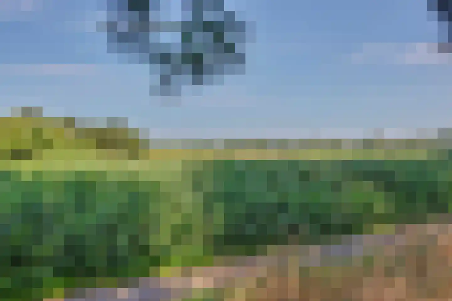 Dilleveld 17 Schiedam thumbnail 66