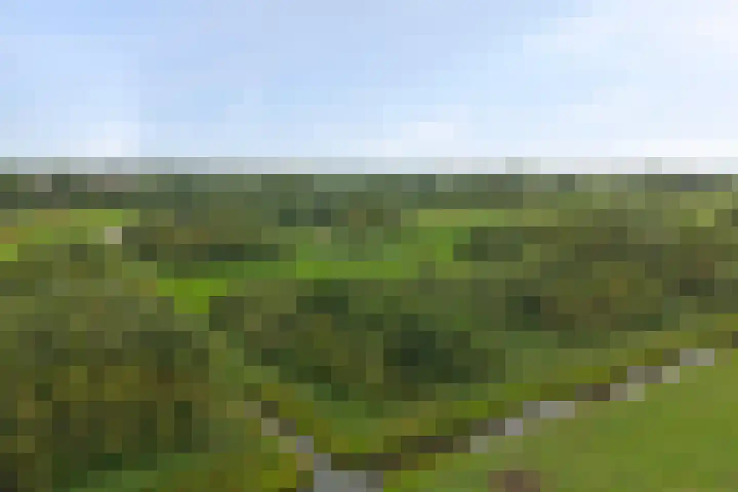 Dilleveld 17 Schiedam thumbnail 73