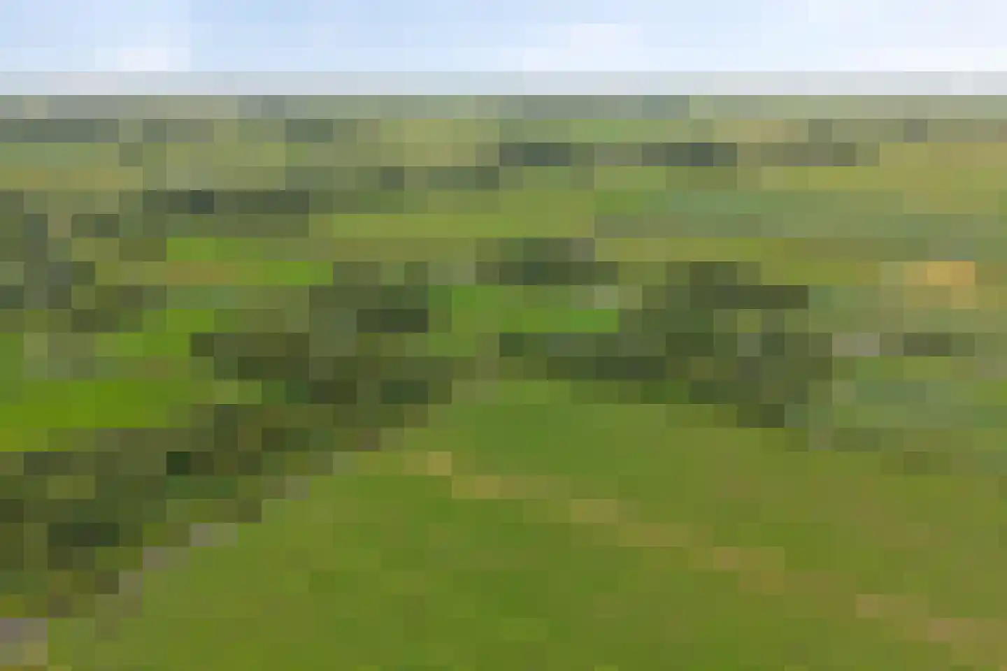Dilleveld 17 Schiedam thumbnail 76