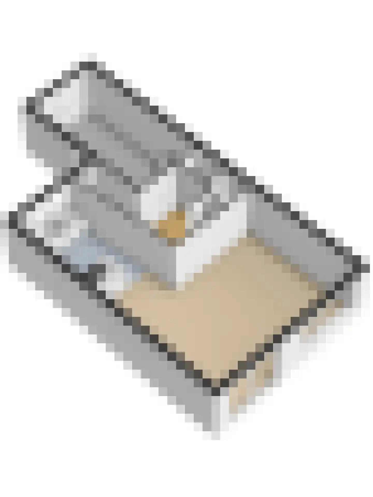Dilleveld 17 Schiedam thumbnail 83