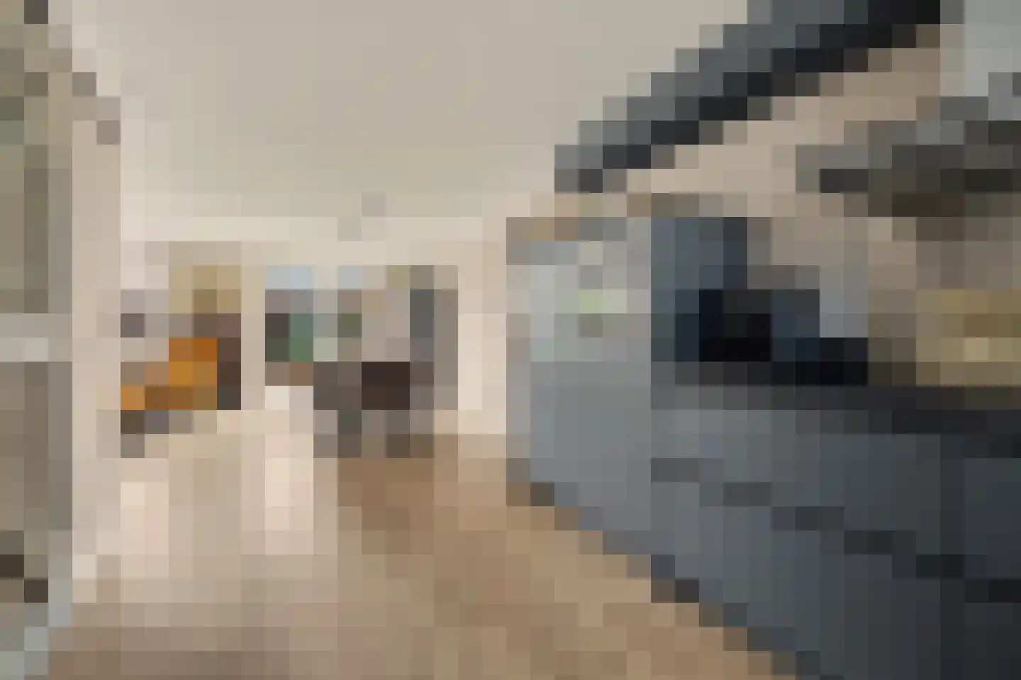 Dilleveld 19 Schiedam thumbnail 12