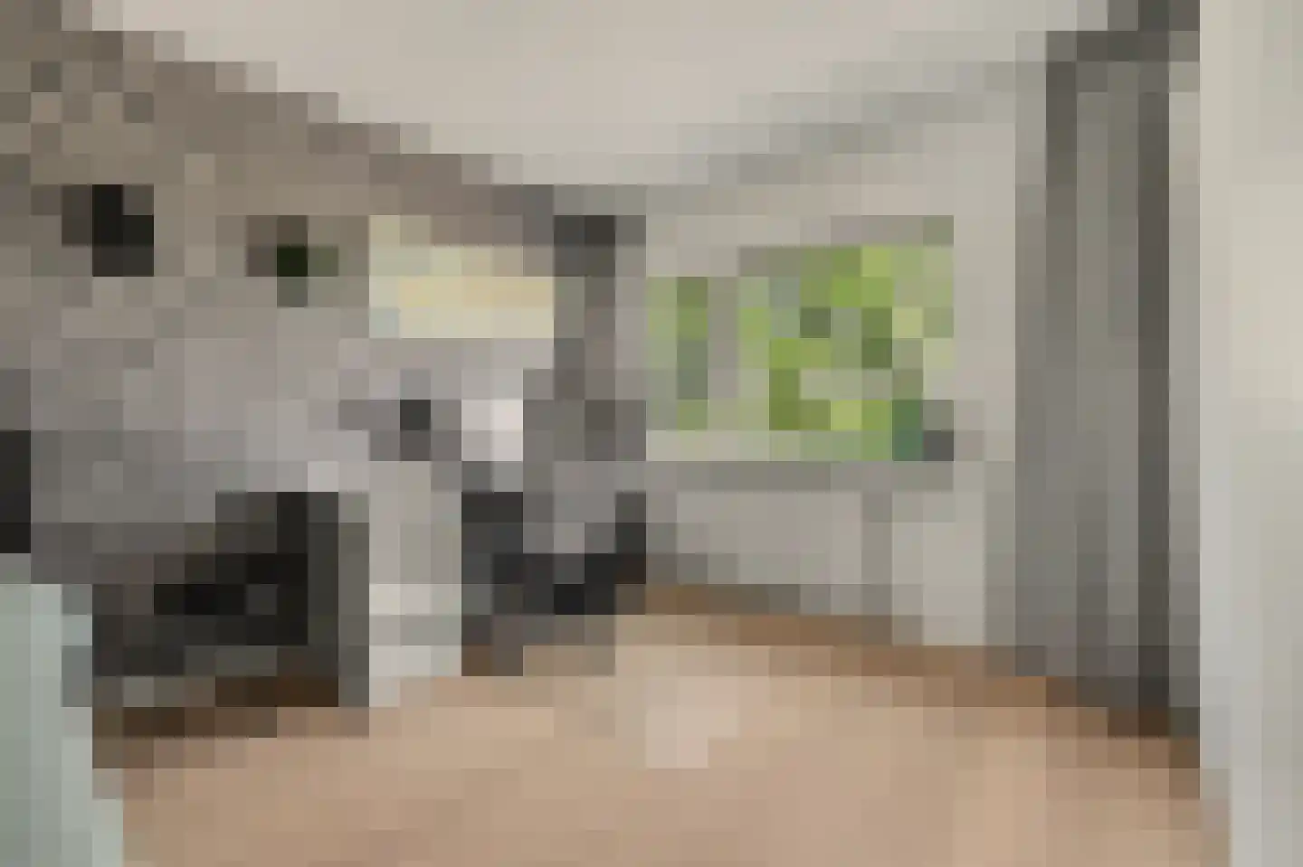Dilleveld 19 Schiedam thumbnail 20