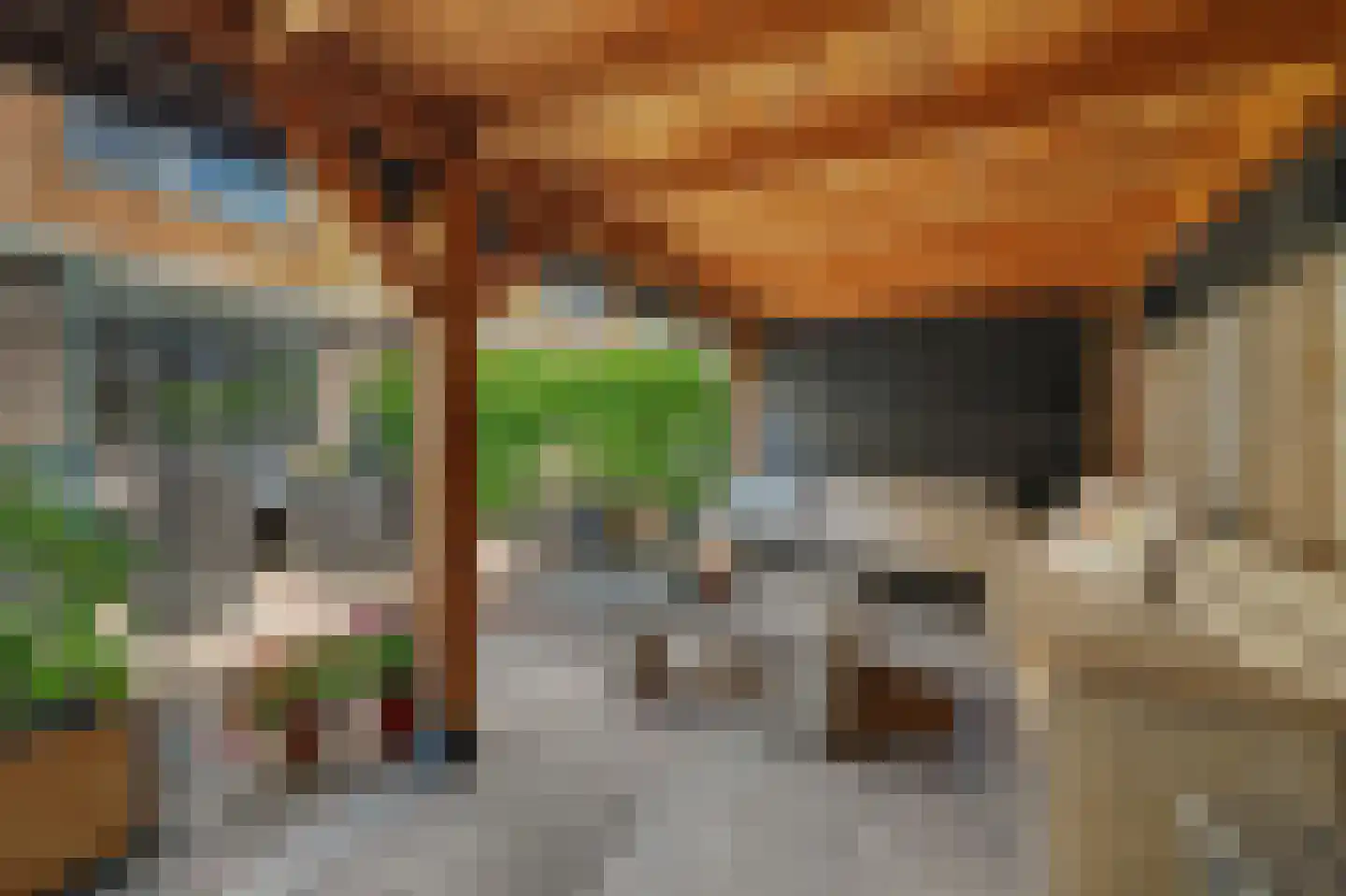 Dilleveld 19 Schiedam thumbnail 33