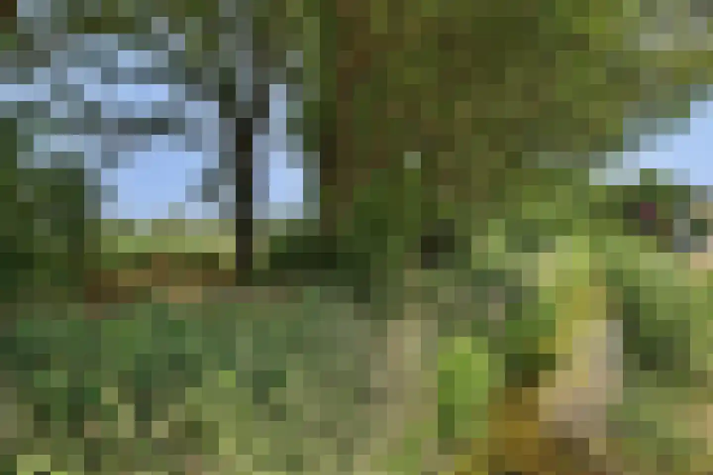 Dilleveld 19 Schiedam thumbnail 37