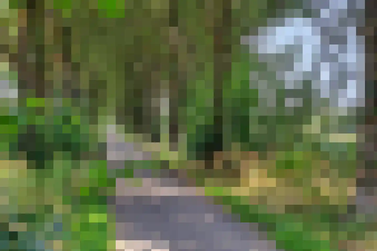 Dilleveld 19 Schiedam thumbnail 38