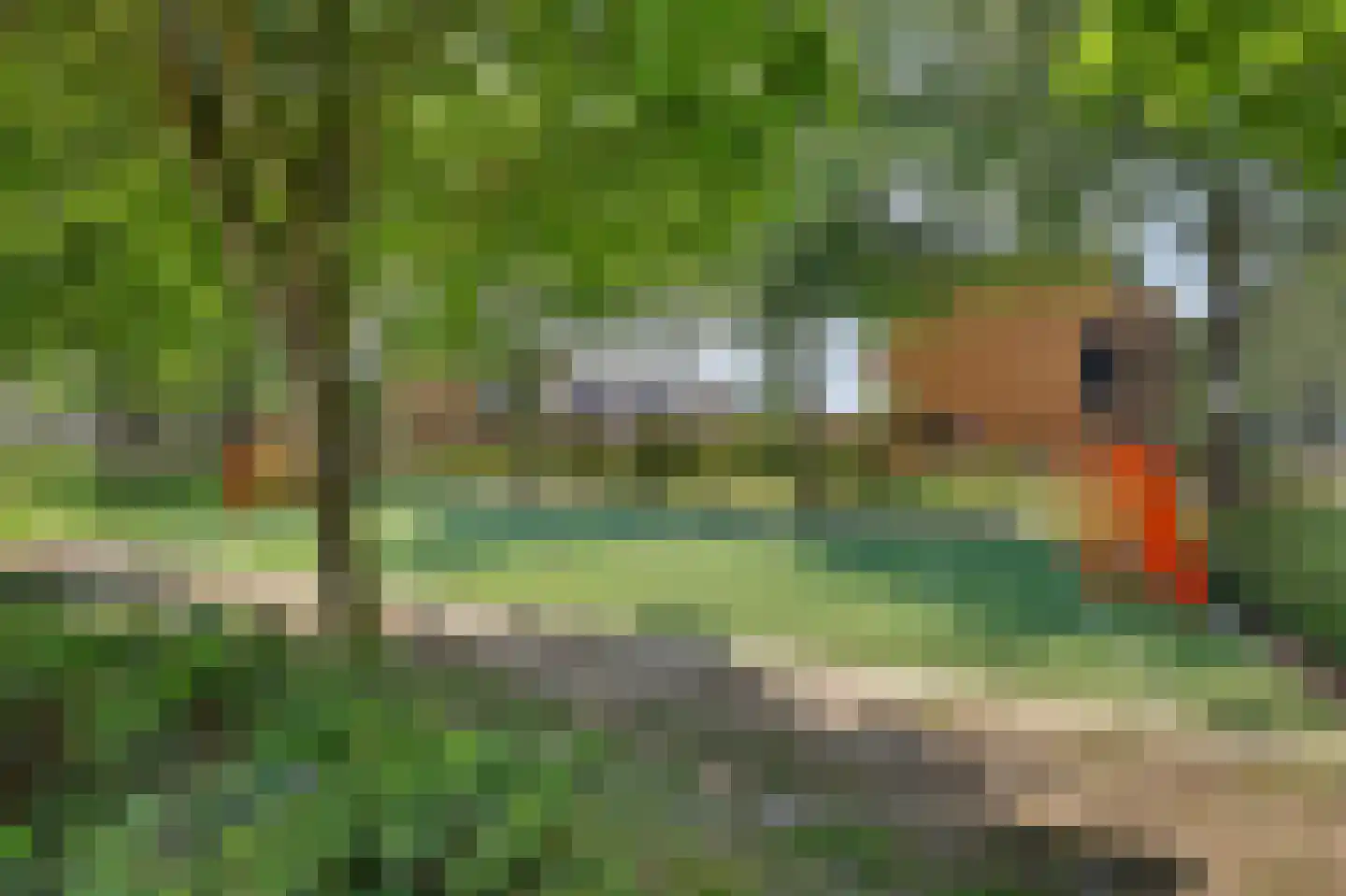 Dilleveld 19 Schiedam thumbnail 42
