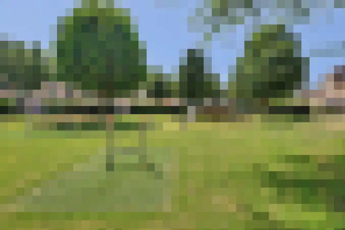 Dilleveld 19 Schiedam thumbnail 43