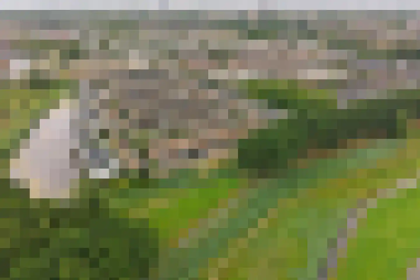Dilleveld 19 Schiedam thumbnail 52