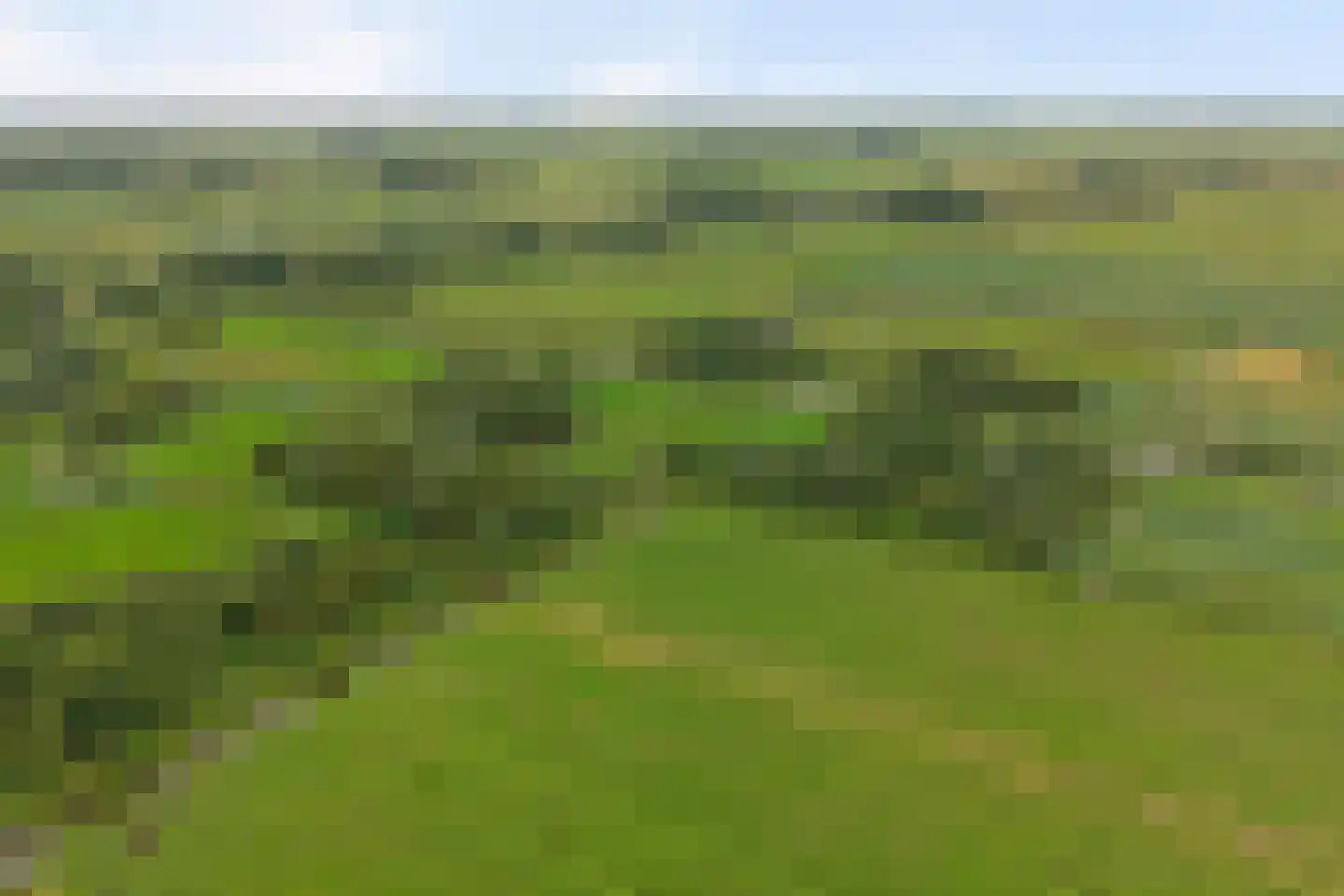Dilleveld 19 Schiedam thumbnail 53