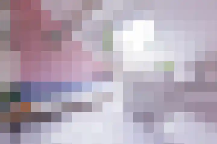 Dilleveld 23 Doetinchem thumbnail 29