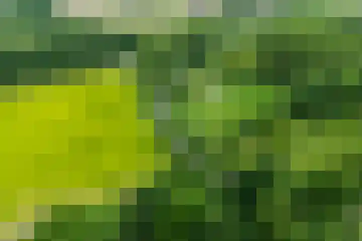 Dilleveld 23 Doetinchem thumbnail 37
