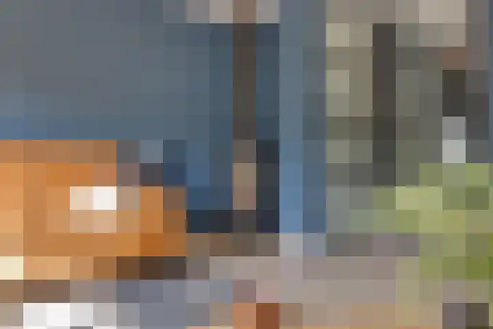 Dilleveld 47 Doetinchem thumbnail 12