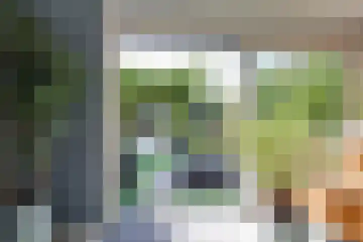 Dilleveld 47 Doetinchem thumbnail 14