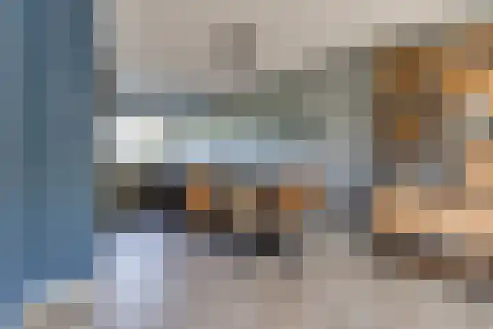 Dilleveld 47 Doetinchem thumbnail 15