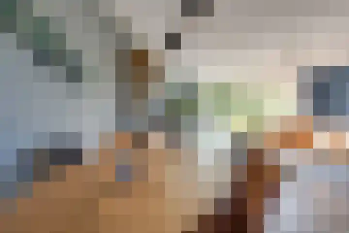 Dilleveld 47 Doetinchem thumbnail 17