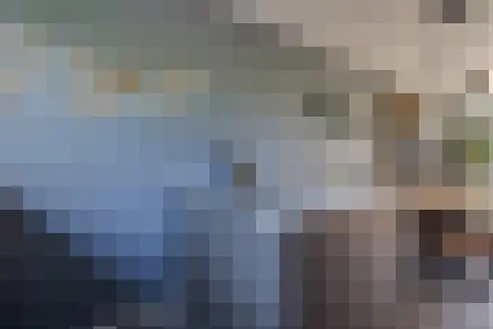 Dilleveld 47 Doetinchem thumbnail 19