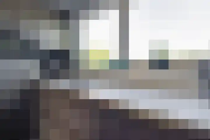 Dilleveld 47 Doetinchem thumbnail 20