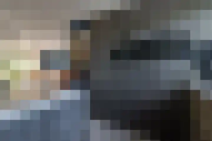 Dilleveld 47 Doetinchem thumbnail 21