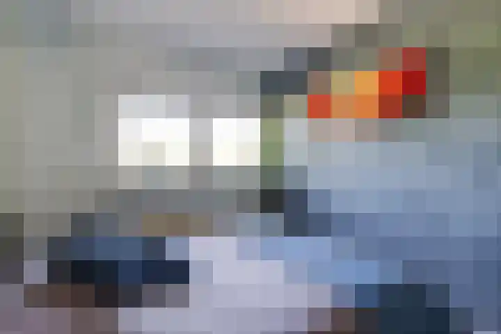Dilleveld 47 Doetinchem thumbnail 29