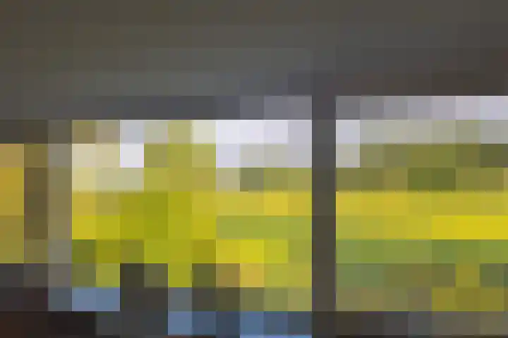 Dilleveld 47 Doetinchem thumbnail 37