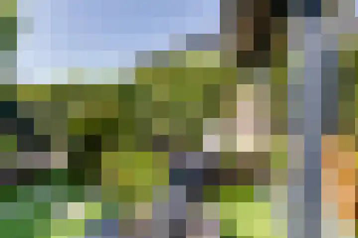 Dilleveld 47 Doetinchem thumbnail 39