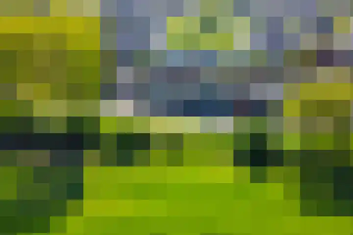 Dilleveld 47 Doetinchem thumbnail 4