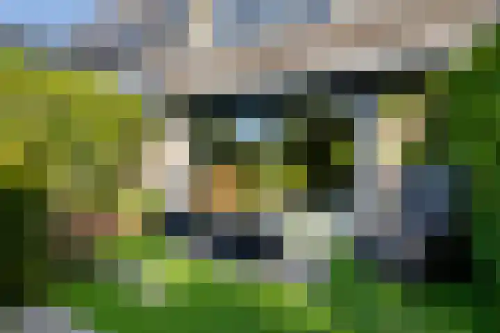 Dilleveld 47 Doetinchem thumbnail 40