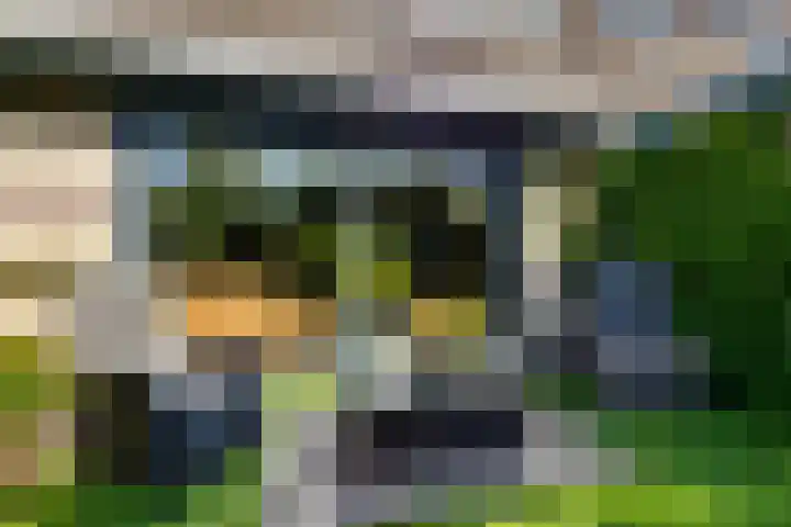 Dilleveld 47 Doetinchem thumbnail 41