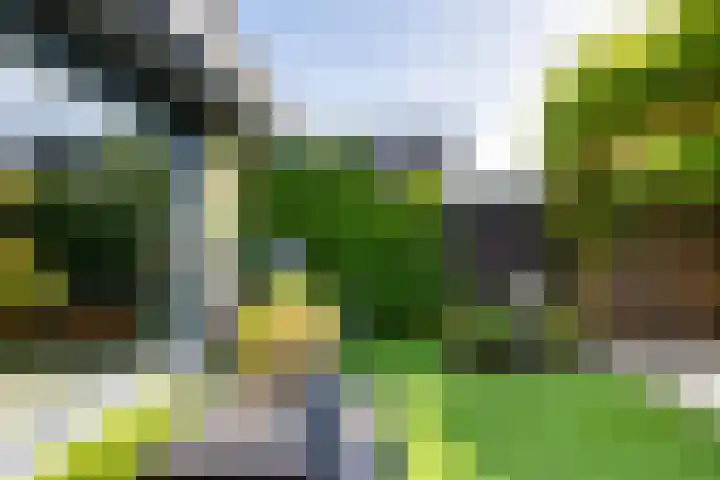 Dilleveld 47 Doetinchem thumbnail 42