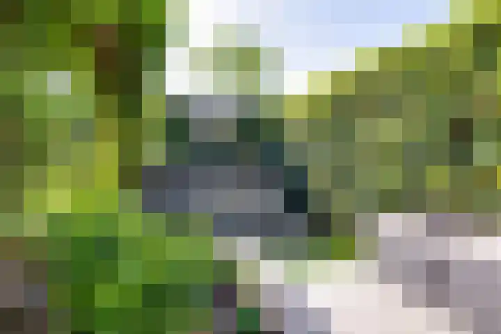 Dilleveld 47 Doetinchem thumbnail 43