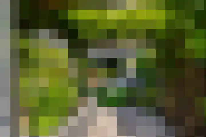 Dilleveld 47 Doetinchem thumbnail 46