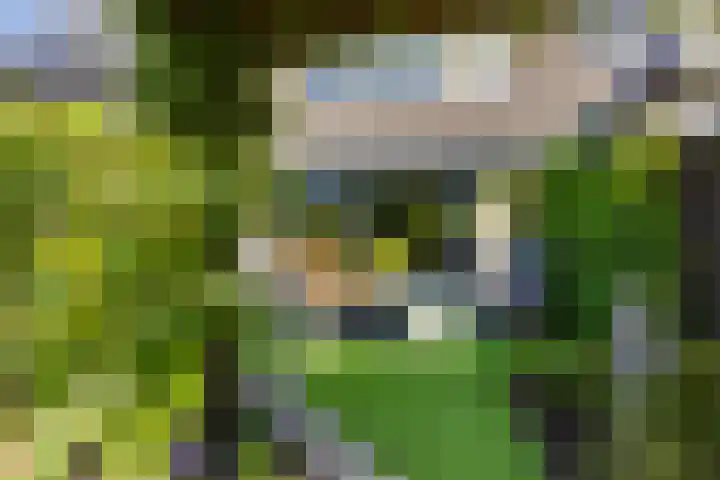 Dilleveld 47 Doetinchem thumbnail 48