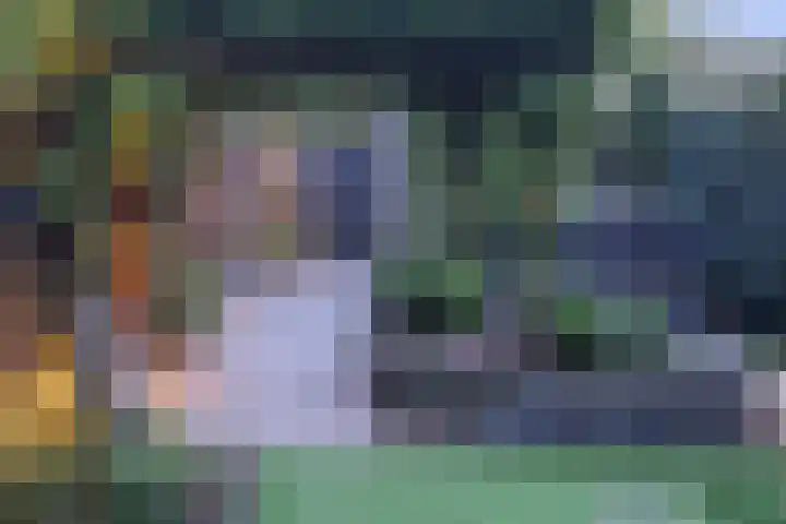 Dilleveld 47 Doetinchem thumbnail 49