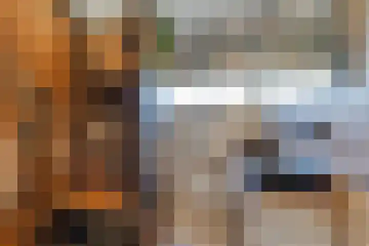 Dilleveld 47 Doetinchem thumbnail 5