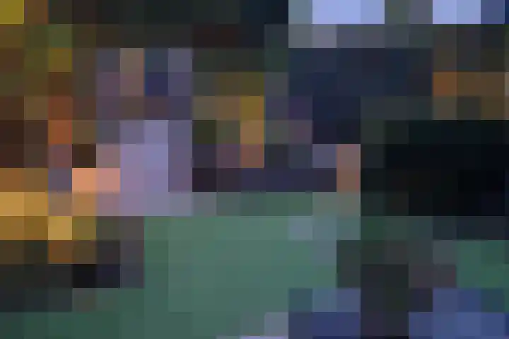 Dilleveld 47 Doetinchem thumbnail 50