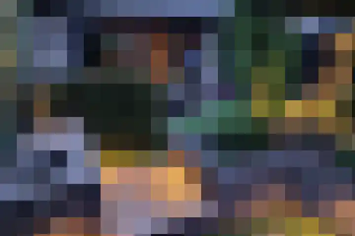 Dilleveld 47 Doetinchem thumbnail 51