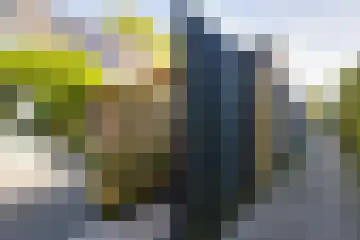 Dilleveld 47 Doetinchem thumbnail 52