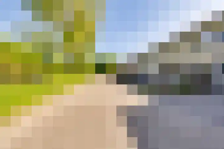Dilleveld 47 Doetinchem thumbnail 54