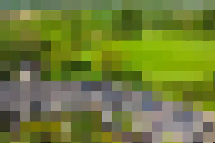 Dilleveld 47 Doetinchem thumbnail 56