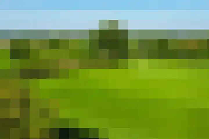 Dilleveld 47 Doetinchem thumbnail 57