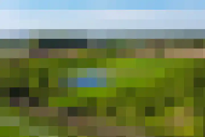 Dilleveld 47 Doetinchem thumbnail 59
