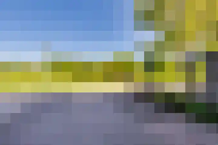 Dilleveld 47 Doetinchem thumbnail 7