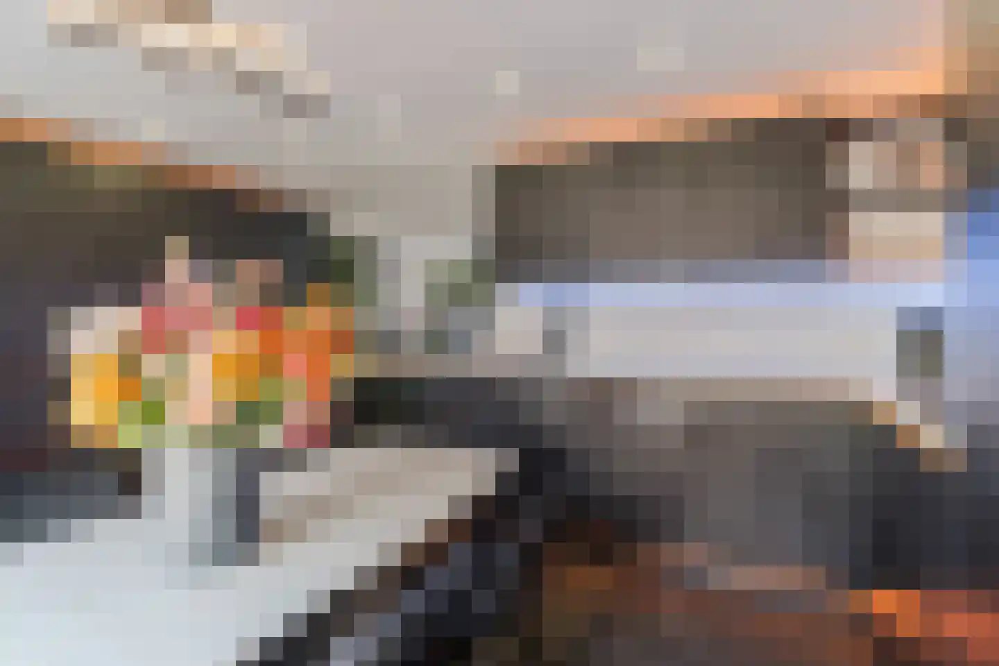 Dilleveld 48 Veghel thumbnail 12