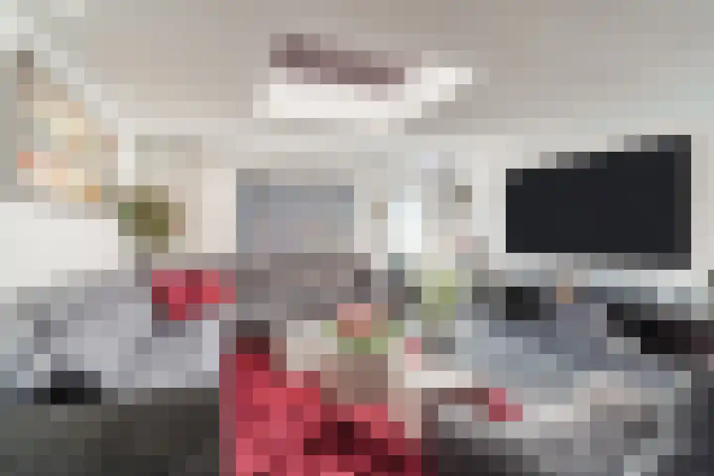 Dilleveld 48 Veghel thumbnail 15