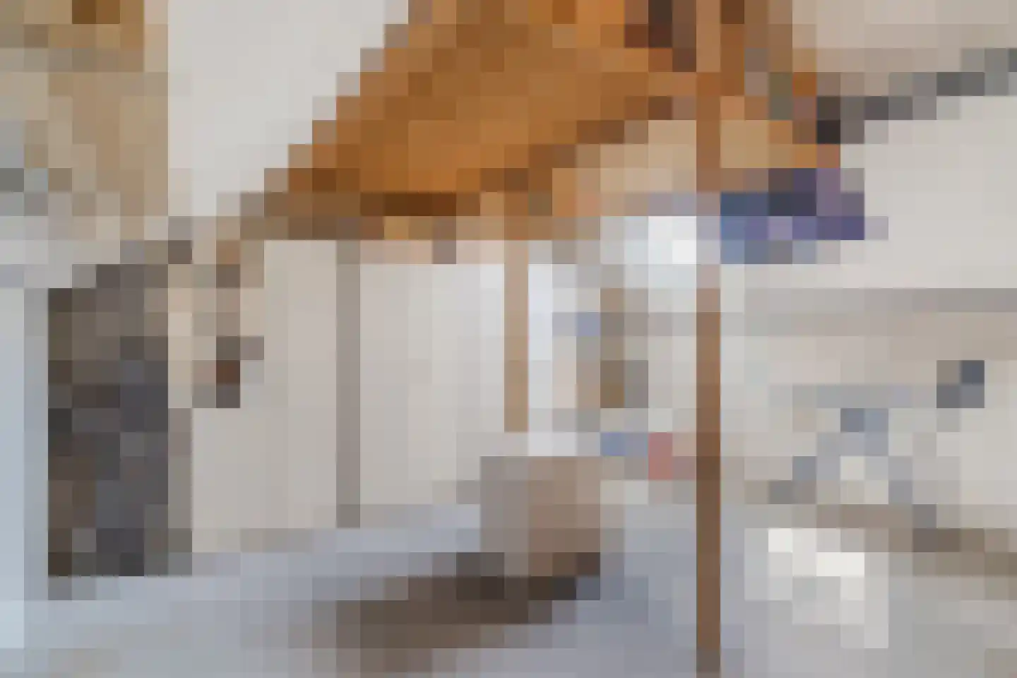 Dilleveld 48 Veghel thumbnail 36